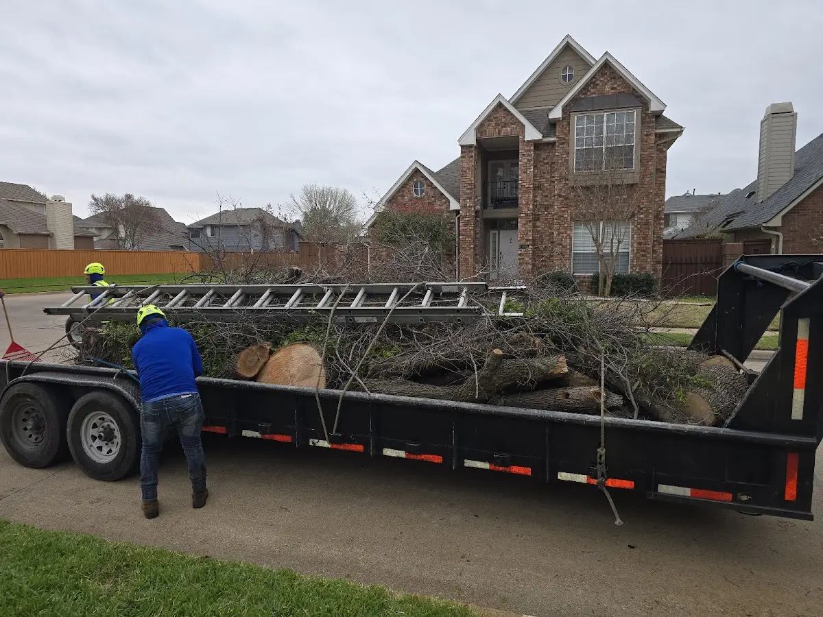 Expert Lot Clearing with proper safety equipment in Yellow Pine